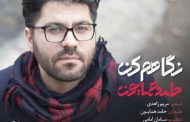 همه چیز درباره حامد همایون پدیده جدید موسیقی ایران